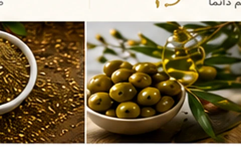 زعتر