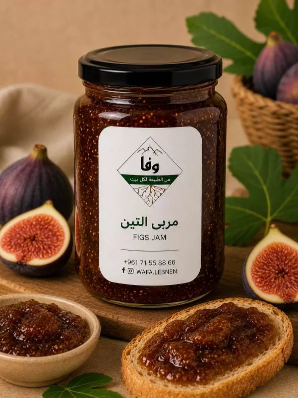 مربى التين